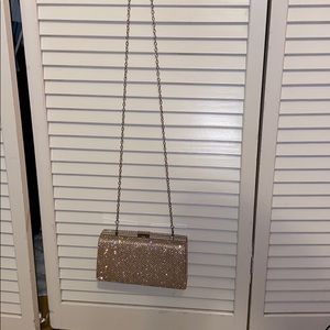 Glittery over the shoulder or clutch purse
